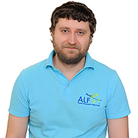 consultant